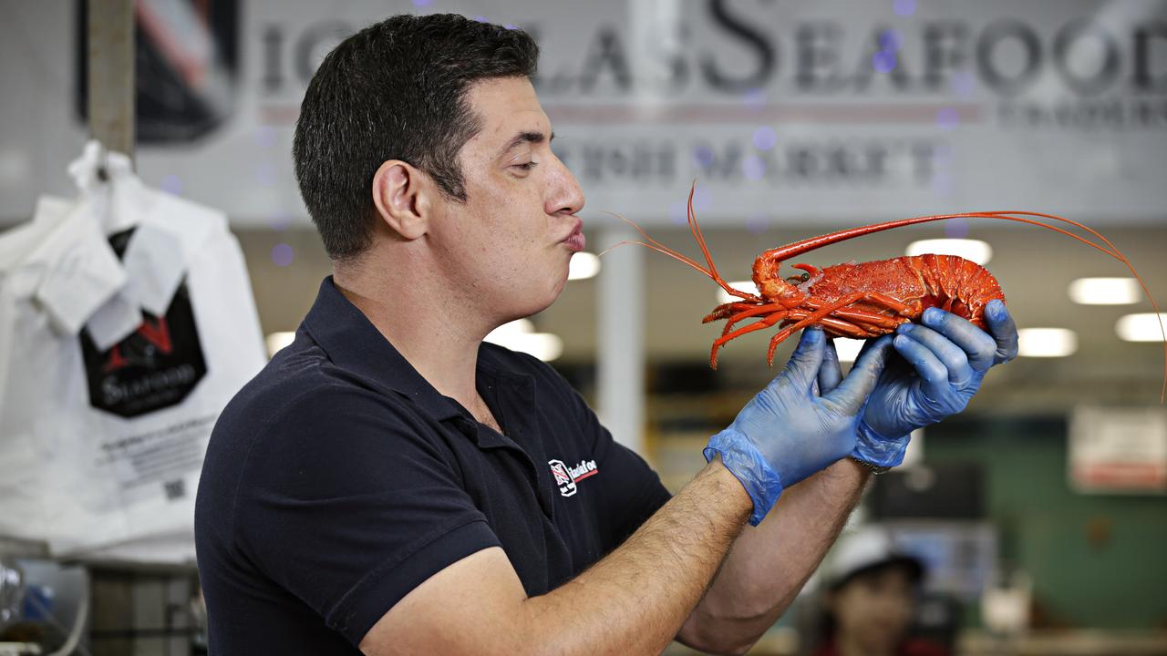 澳洲龙虾出口到中国多少钱一斤,澳洲龙虾进口批发市场