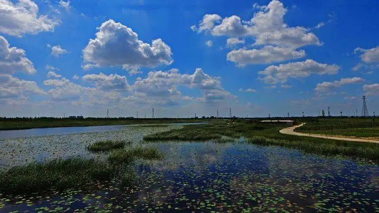 郭立泉诗,郭立泉的作品都有哪些