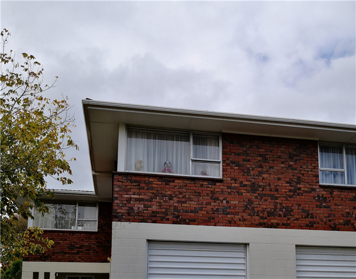 新西兰居住时间,新西兰居家办公