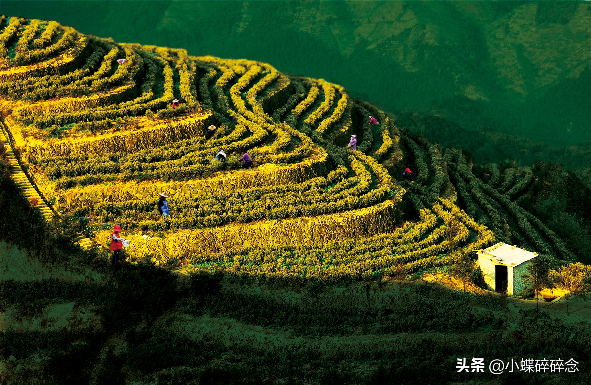 跟我去一趟缙云,告诉你怎样的江南行叫“不虚此行”