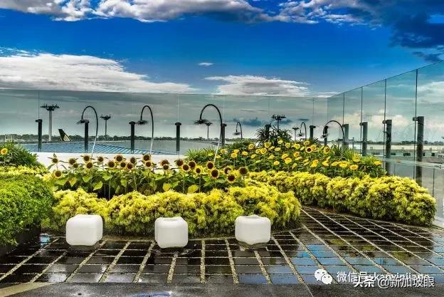 日环食明天登场，新加坡这些地方都可以观看