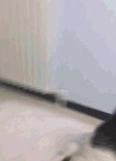 搞笑gif你们这些城里人太会玩了,搞笑gif逗比的世界你永远理解不了