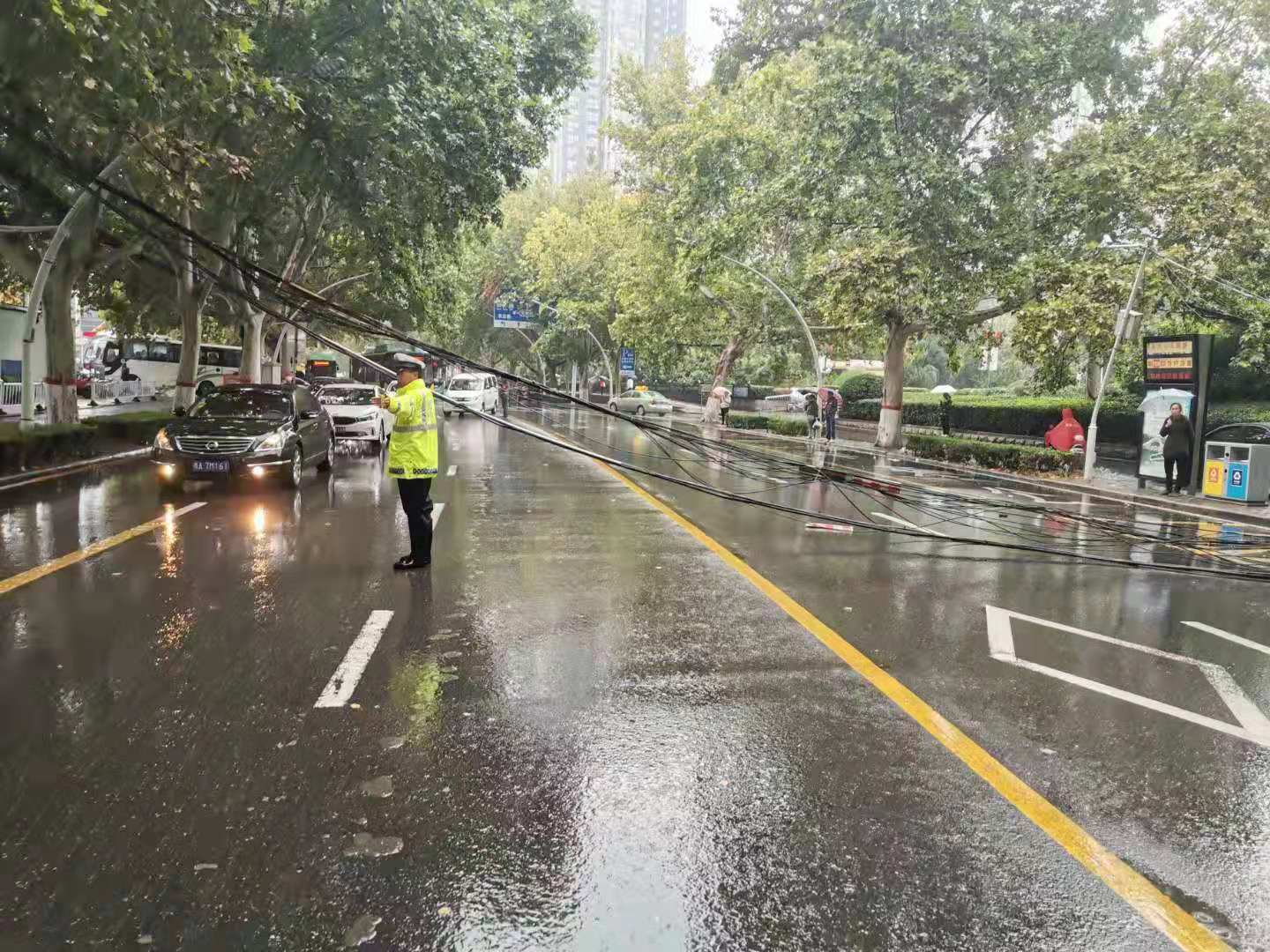 国庆节的坚守,国庆节坚守的视频