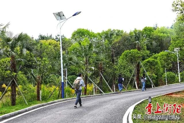 衡阳市天气预报30天下载,衡阳市天气预报1个月