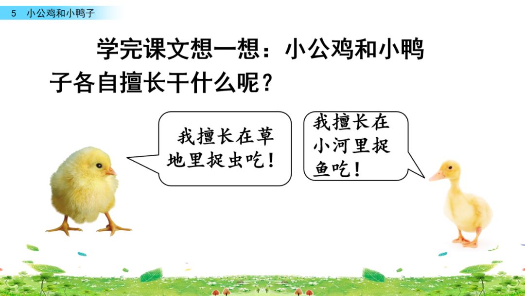 小公鸡和小鸭子一年级下册视频,一年级下语文小公鸡和小鸭子讲解