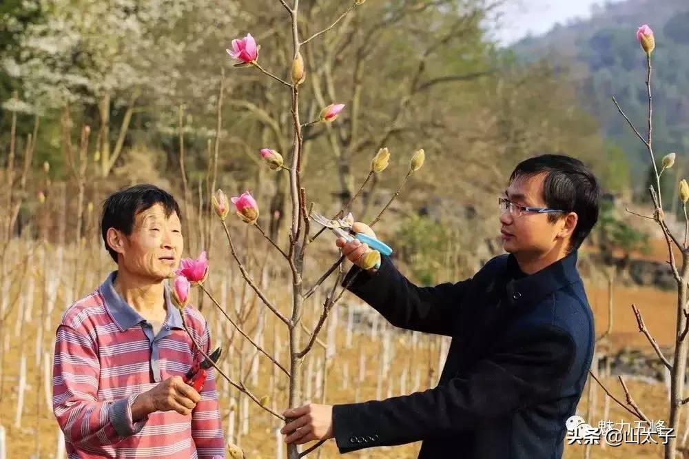 花博士五福系列,花博士花艺生活