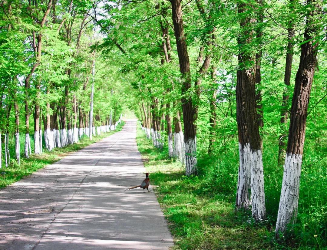 西安秦岭温泉度假山庄,西安桃花源休闲山庄