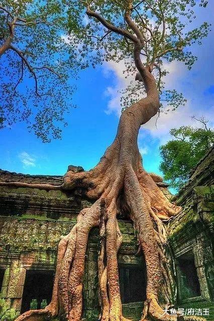 50张世界级照片赶快来看,壮观40张顶级照片