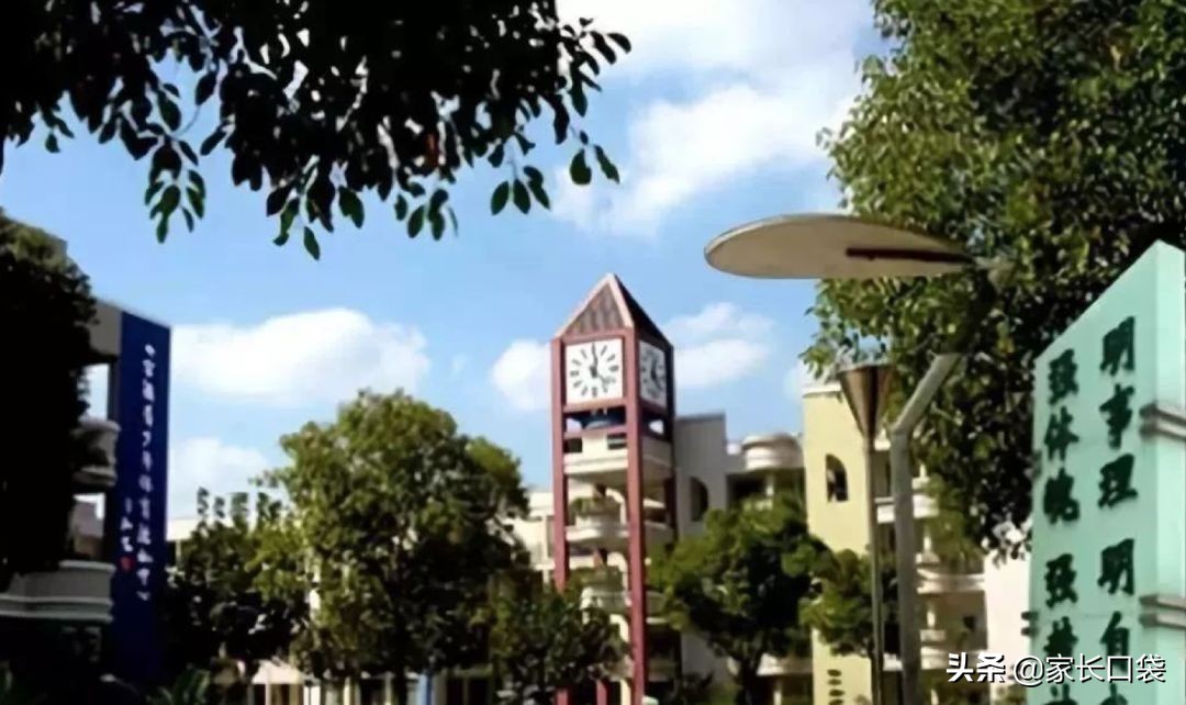 各区小学对口初中汇总表,对口小学排名公布