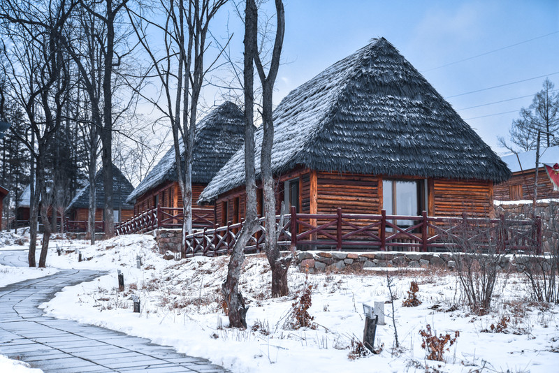 冰雪总动员简介,冰雪总动员