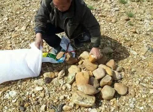 捡石头真的可以发财吗,石头捡到真能发财吗