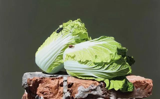 冷军画桃子图片大全,冷军画桃子放大5倍