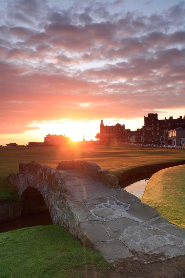 英国的大学哪个难考,英国的211大学