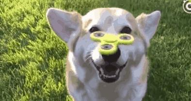 指尖陀螺有多危险视频,指尖陀螺为什么存在安全隐患