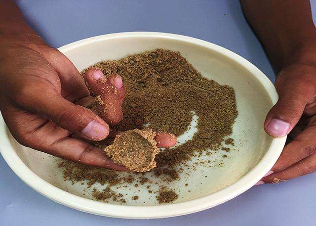 为什么新手钓得到大鱼,新手钓大鱼易跑鱼原因