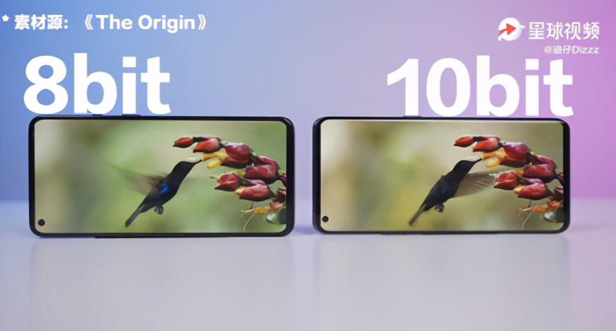 勇闯一次武汉歌舞厅？保证你30分钟抱头逃走，实在是太野了