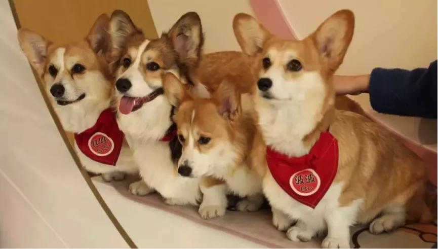 北京让人惊艳的小店,北京小资情调小店