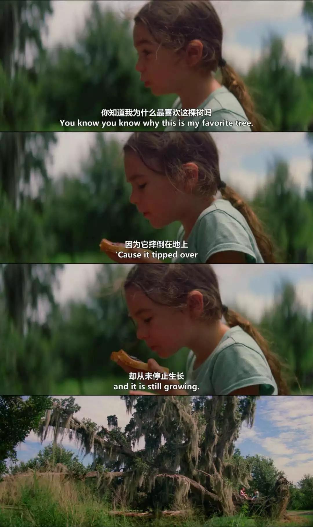 关于韩雪和郭敬明,从不知郭小霖现场版