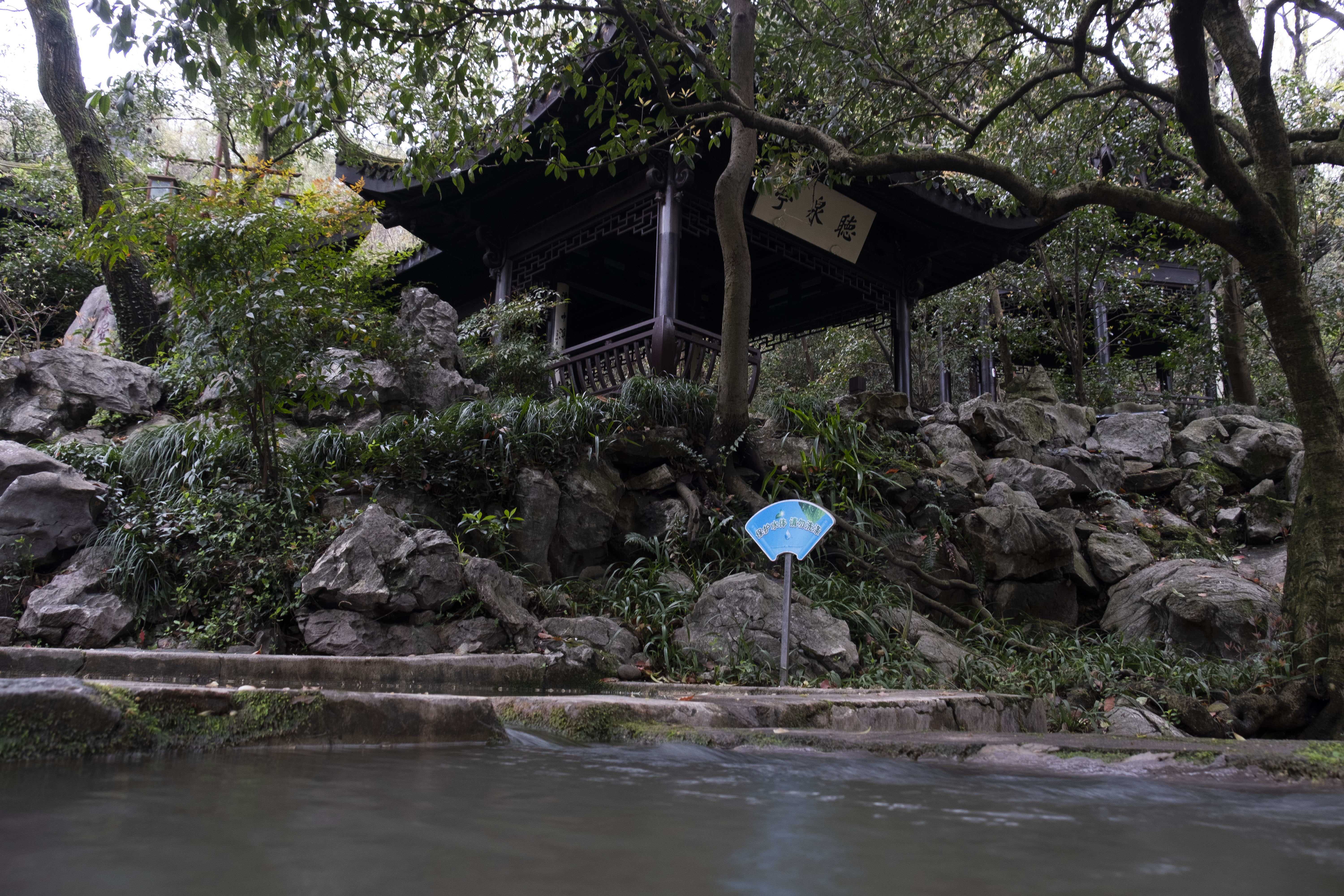 西湖龙井春茶季,龙井茶西湖明前春茶