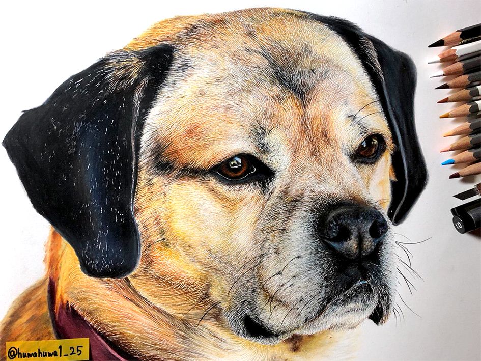 失明女孩铅笔画,保护视力守护心灵素描画