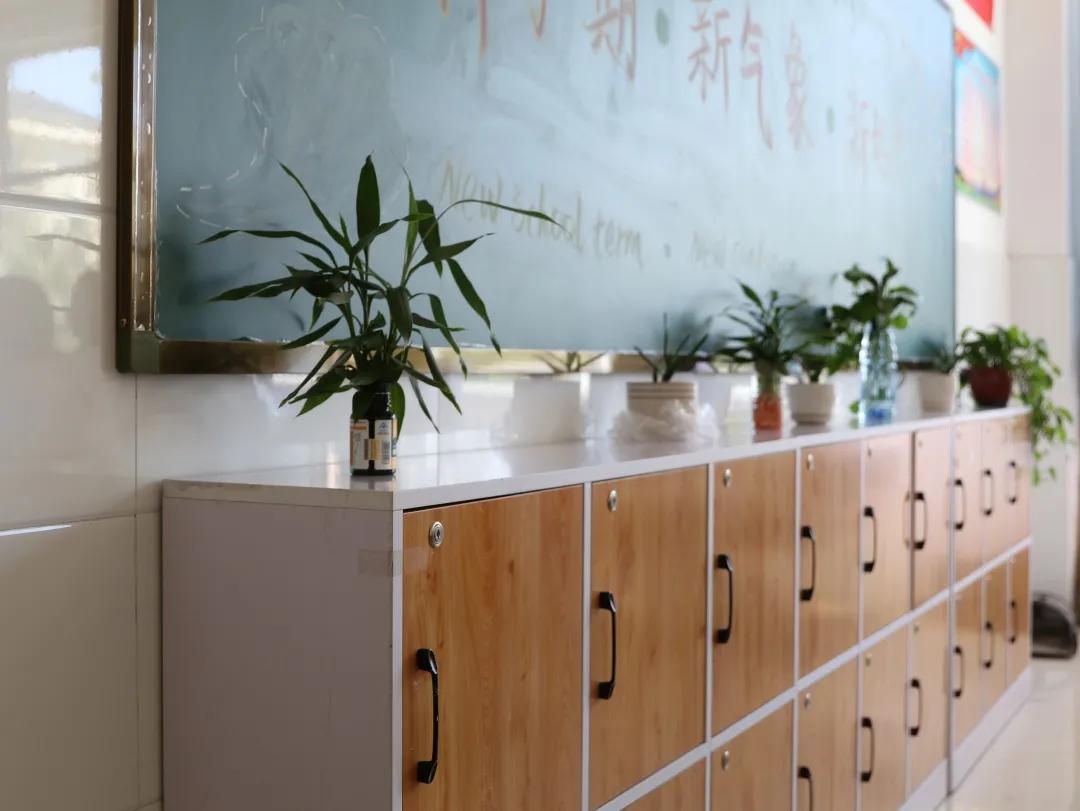 智慧校园智能化系统整体解决方案,智慧校园整体解决方案有哪些