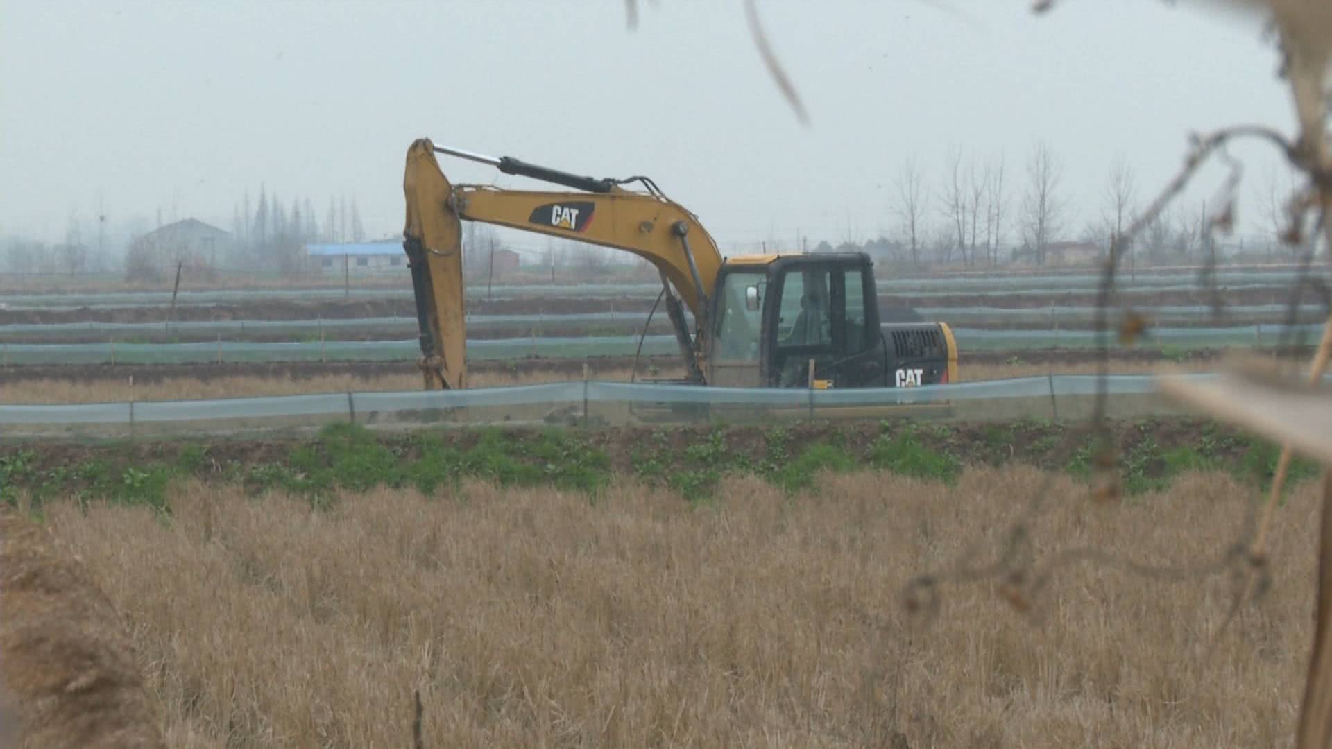 灏忛緳铏剧豢鑹蹭骇涓氶摼,灏忛緳铏惧吇娈栦竴鏉￠緳