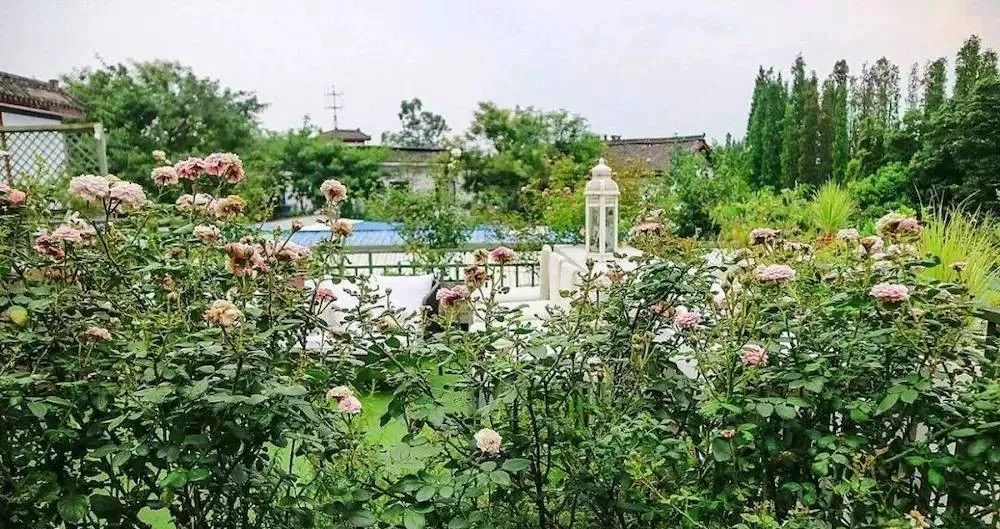 成都周边1小时车程农家乐,成都半小时路程好玩的地方