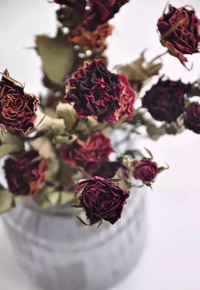 8种能做干花的鲜花,男朋友送的花就这么做