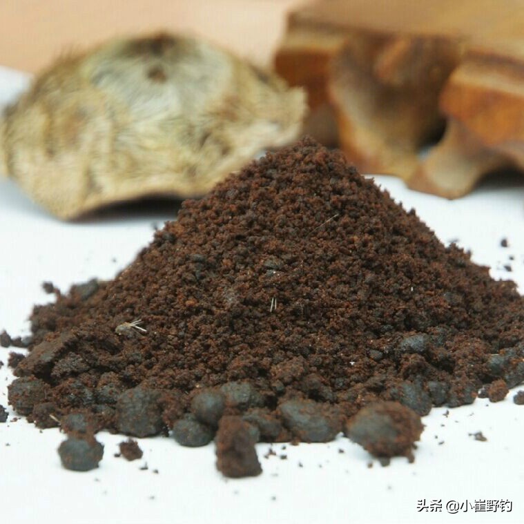 钓鱼用真正的麝香,麝香如何用来钓鱼