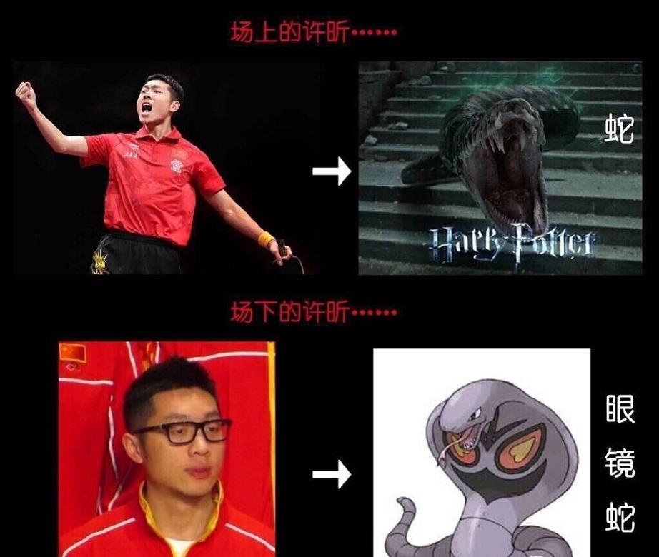 国乒绰号的由来:獒龙蟒、大小胖、大头、小枣、林妹妹…