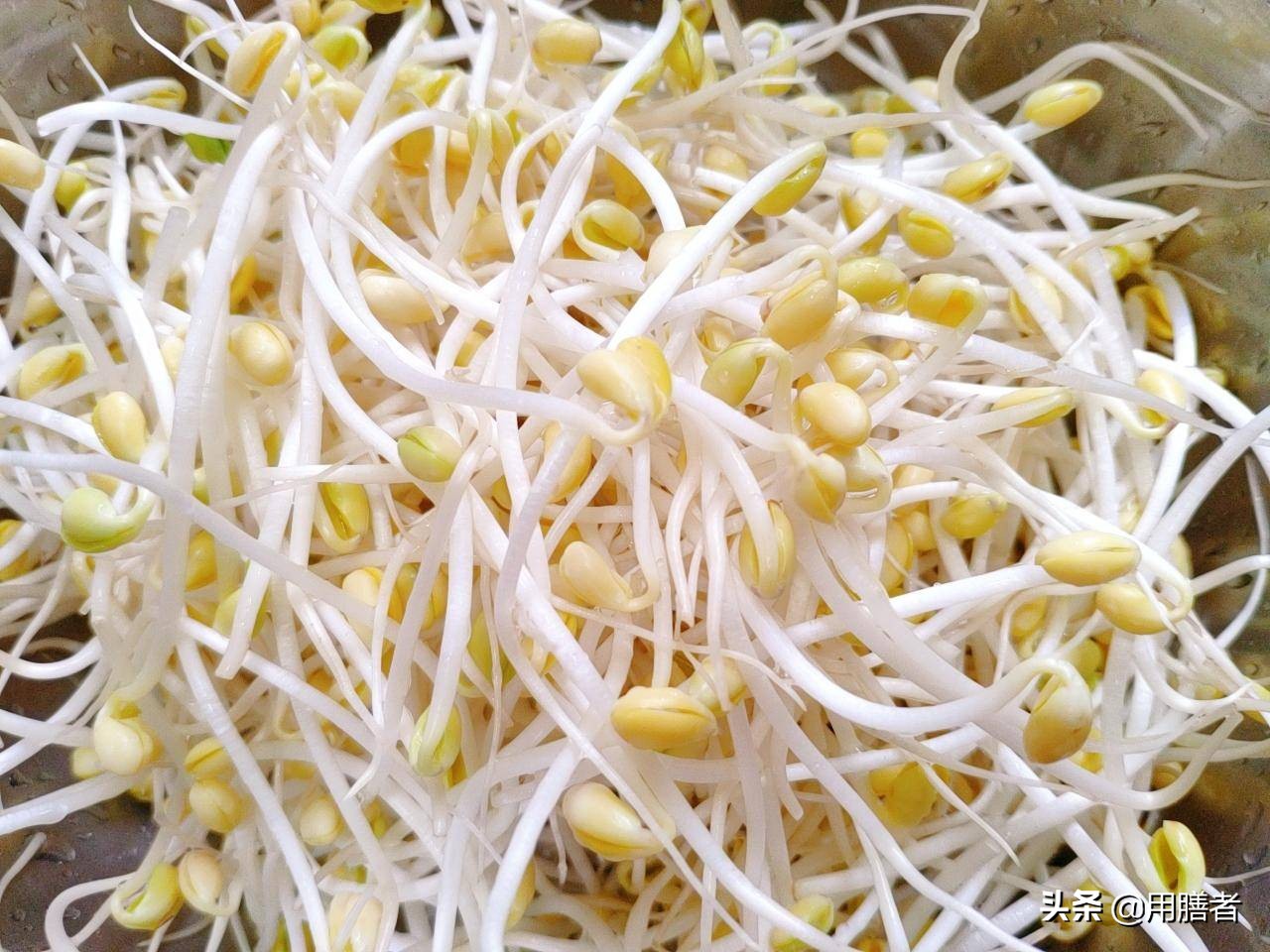 豆芽神奇之处,营养好又美味的豆芽