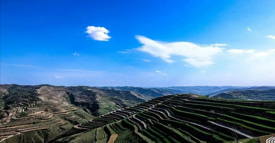 庄浪梯田的自然环境特点,庄浪的地形是什么形状