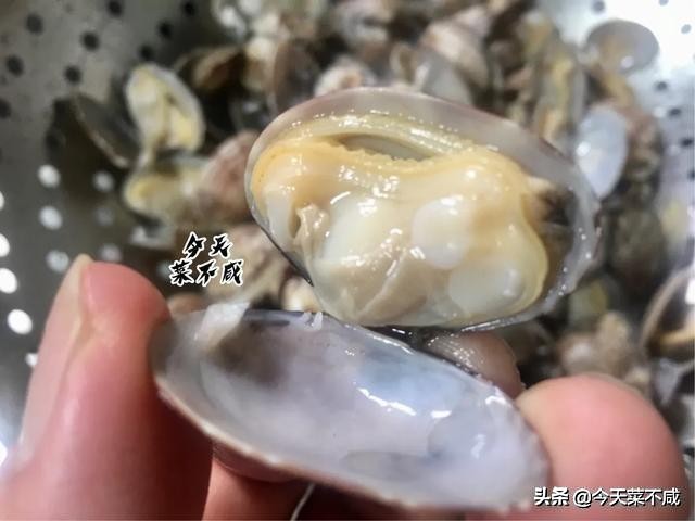 花蛤吐沙放香油是真的吗,花蛤怎么吐沙干净放香油