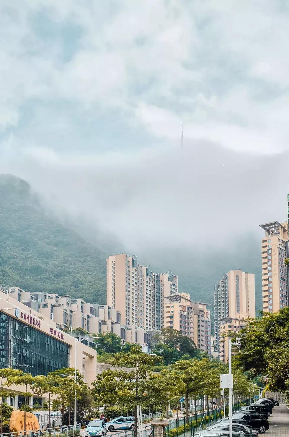 隐藏在梧桐山里的世外桃源,深山独门独户世外桃源