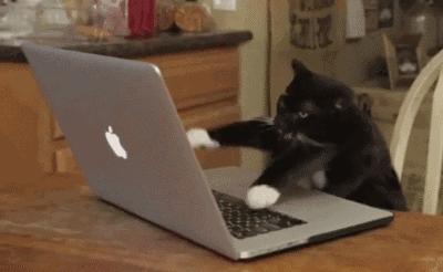 能量饮料能减肥吗,能量饮料真的能补充吗