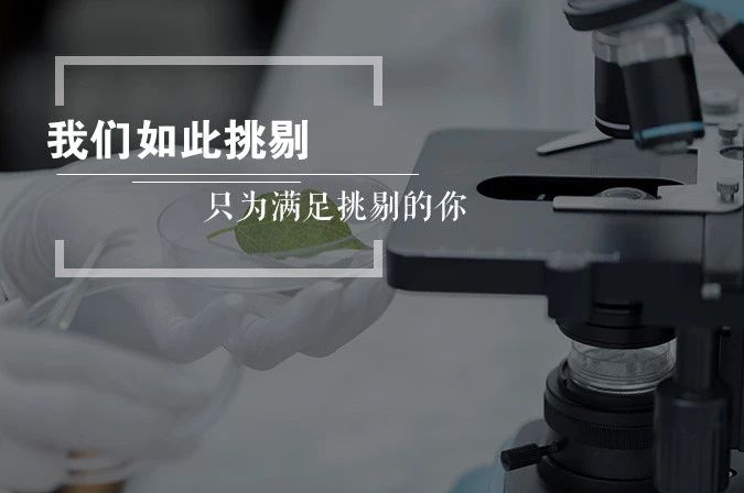 国货崛起从卷轴手机开始,国货崛起不输大牌