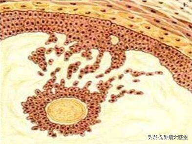 不查不知道一查吓一跳素材,不查不知道一查吓一跳一身病