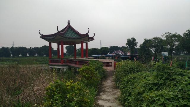 中山崖口美食推荐,崖口村煲仔饭云吞团购