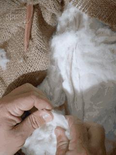 上万的大衣值得买吗,高端上万大衣