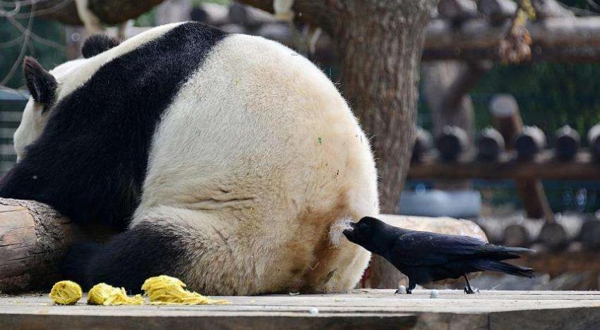 天枢穴治便秘穴位,董氏奇穴治疗大便秘结的穴位