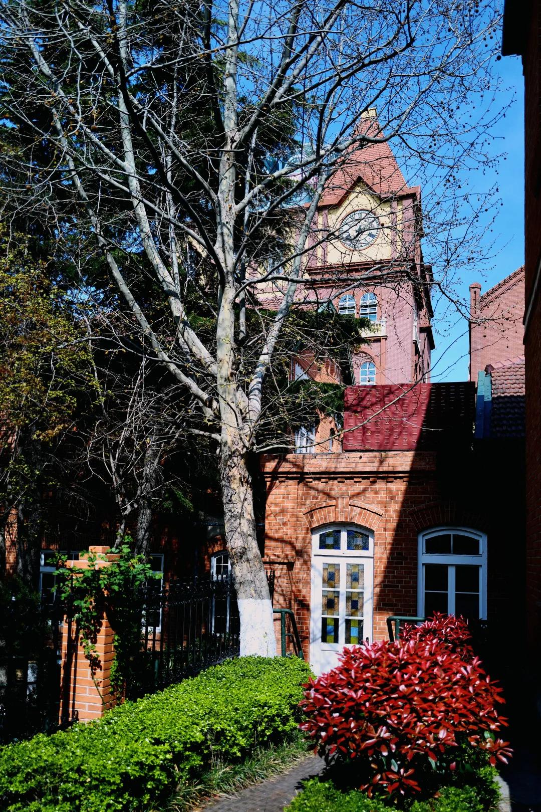 青岛即可以看海还能吃海鲜的地方,去青岛吃好海鲜看大海心情自然好