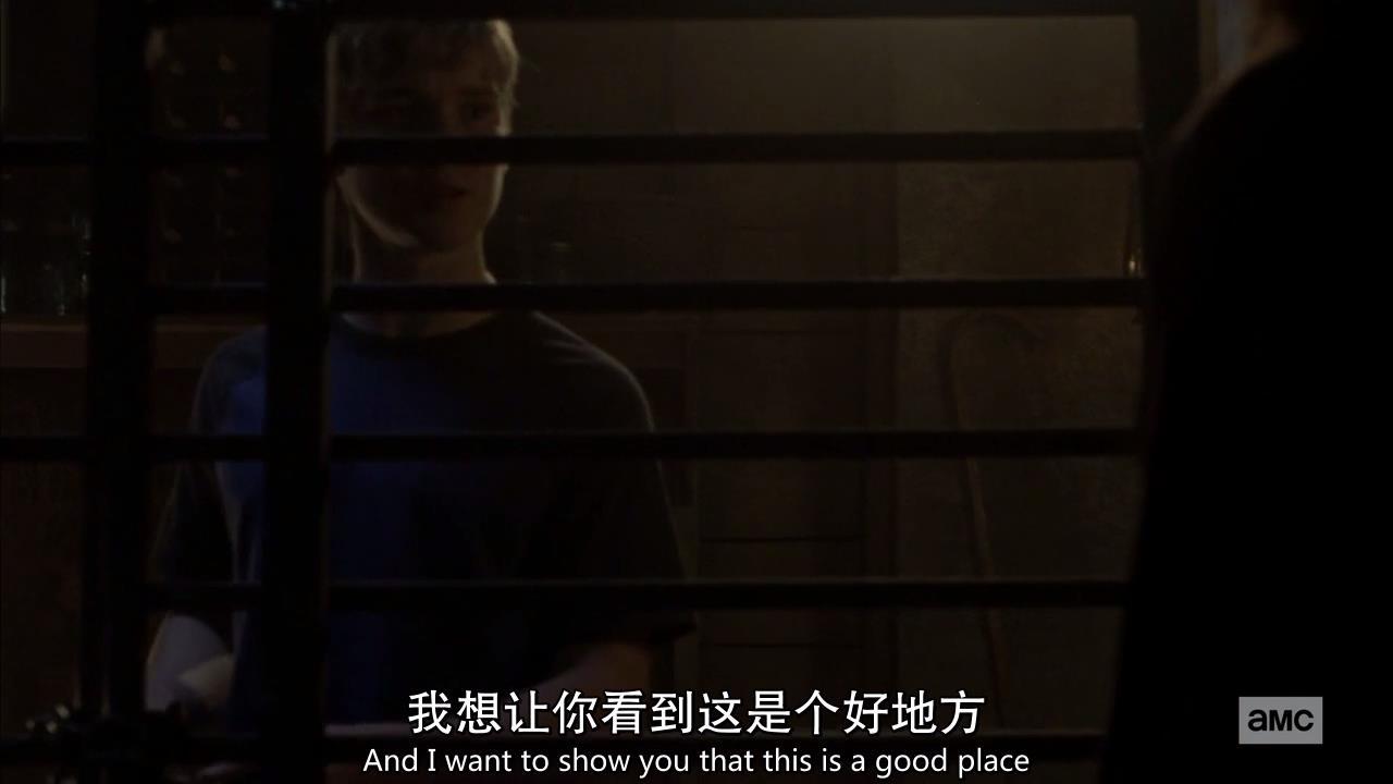 行尸走肉s01,行尸走肉9-12季讲解大全