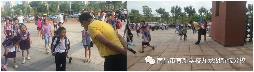 南昌育新学校九龙湖分校有小学吗,南昌育新学校九龙湖新城分校