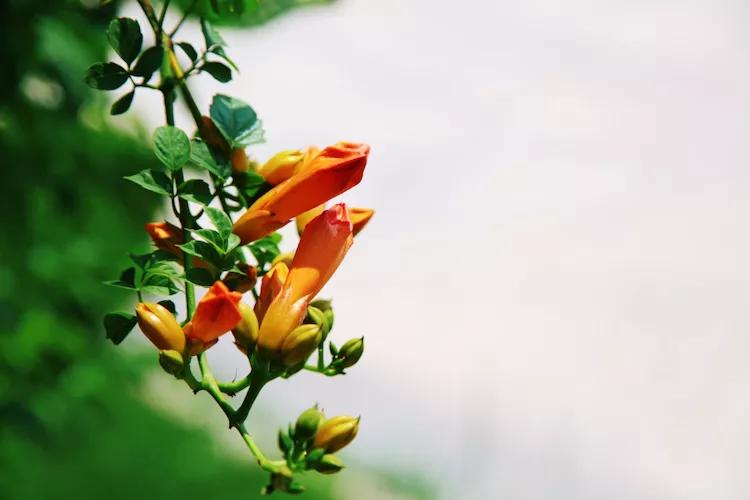 单反快速入门索尼,单反自动挡是哪个