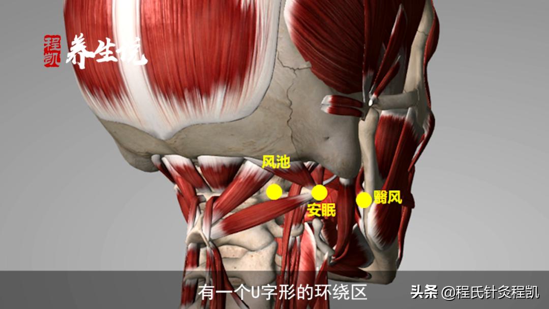 程凯养生说耳鸣视频,程凯养生说耳鸣全部视频