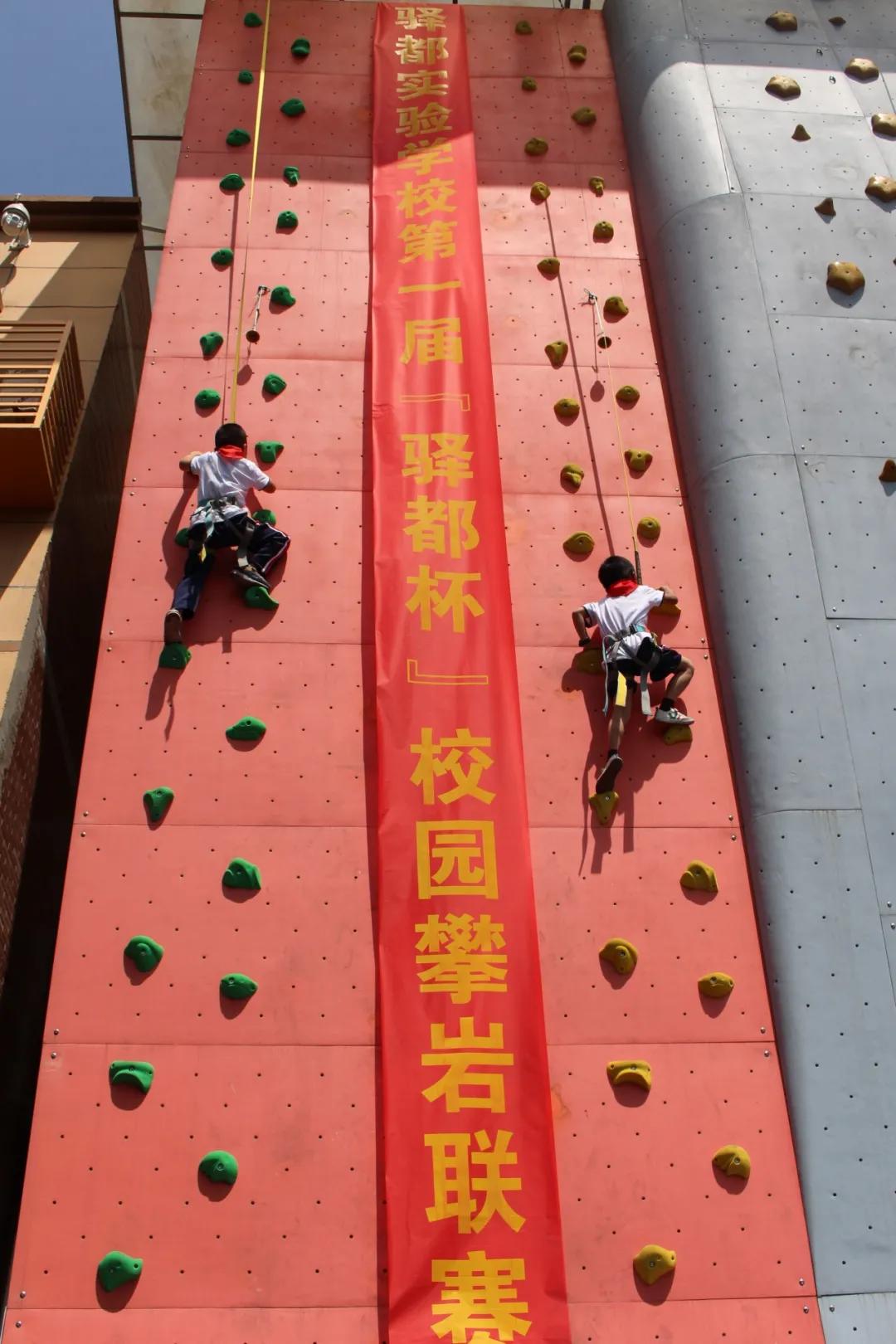 具有特色的校园体育课程,高端的小学学校有哪些体育课程