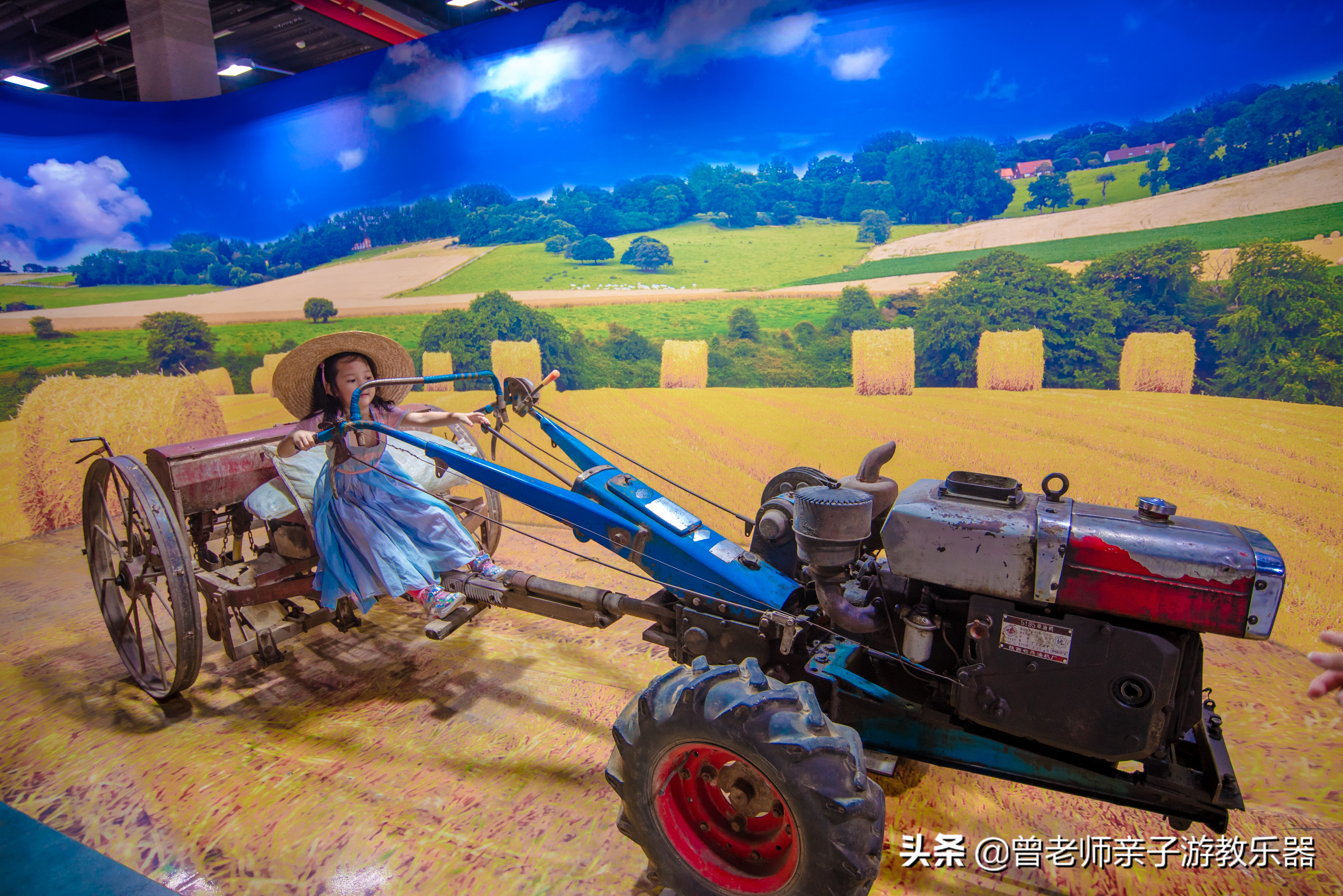 西安菊花节9.9元门票,爱菊菊花节怎么去