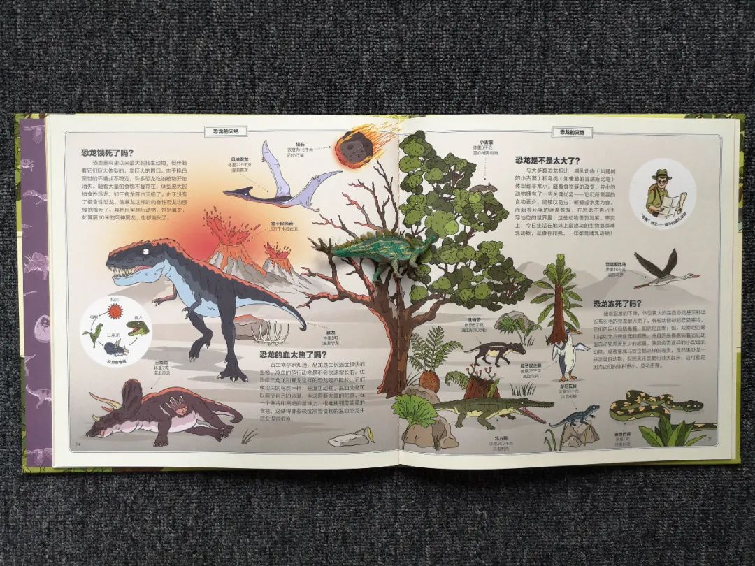 适合孩子看的恐龙科普书,适合5岁孩子看的恐龙科普书