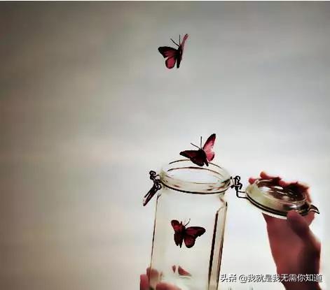 心理性暴饮暴食怎么办,心理学治愈暴食