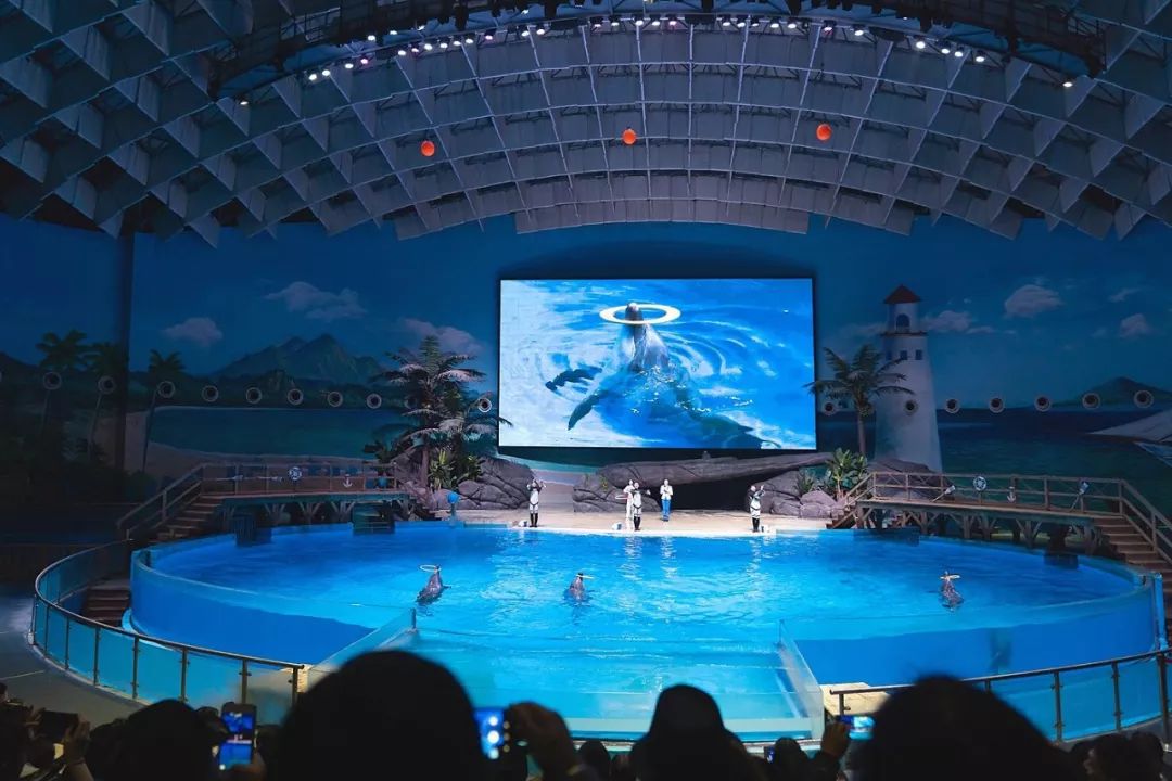 武汉景点免费网上预约,武汉景区免费景点推荐